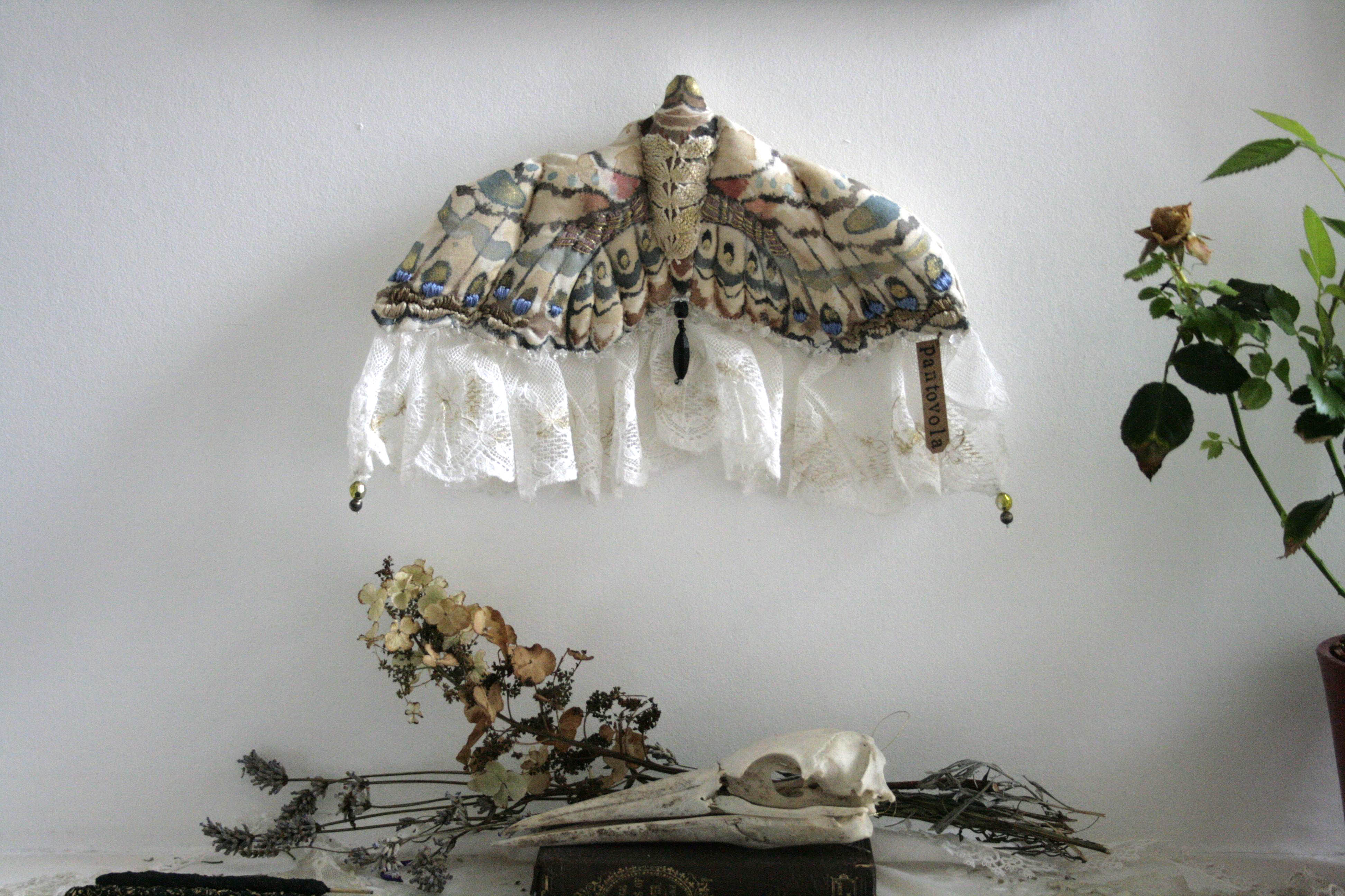 textile moth