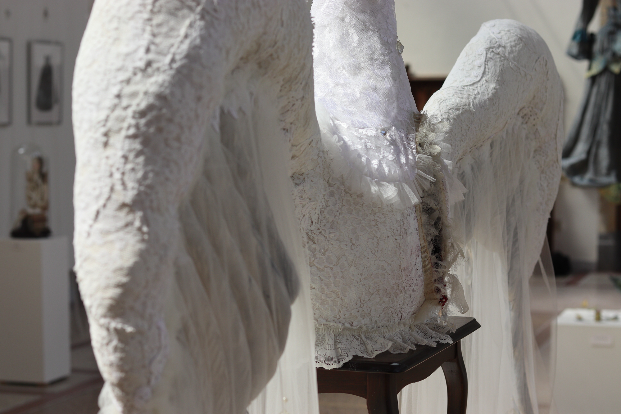 The Swan Bride