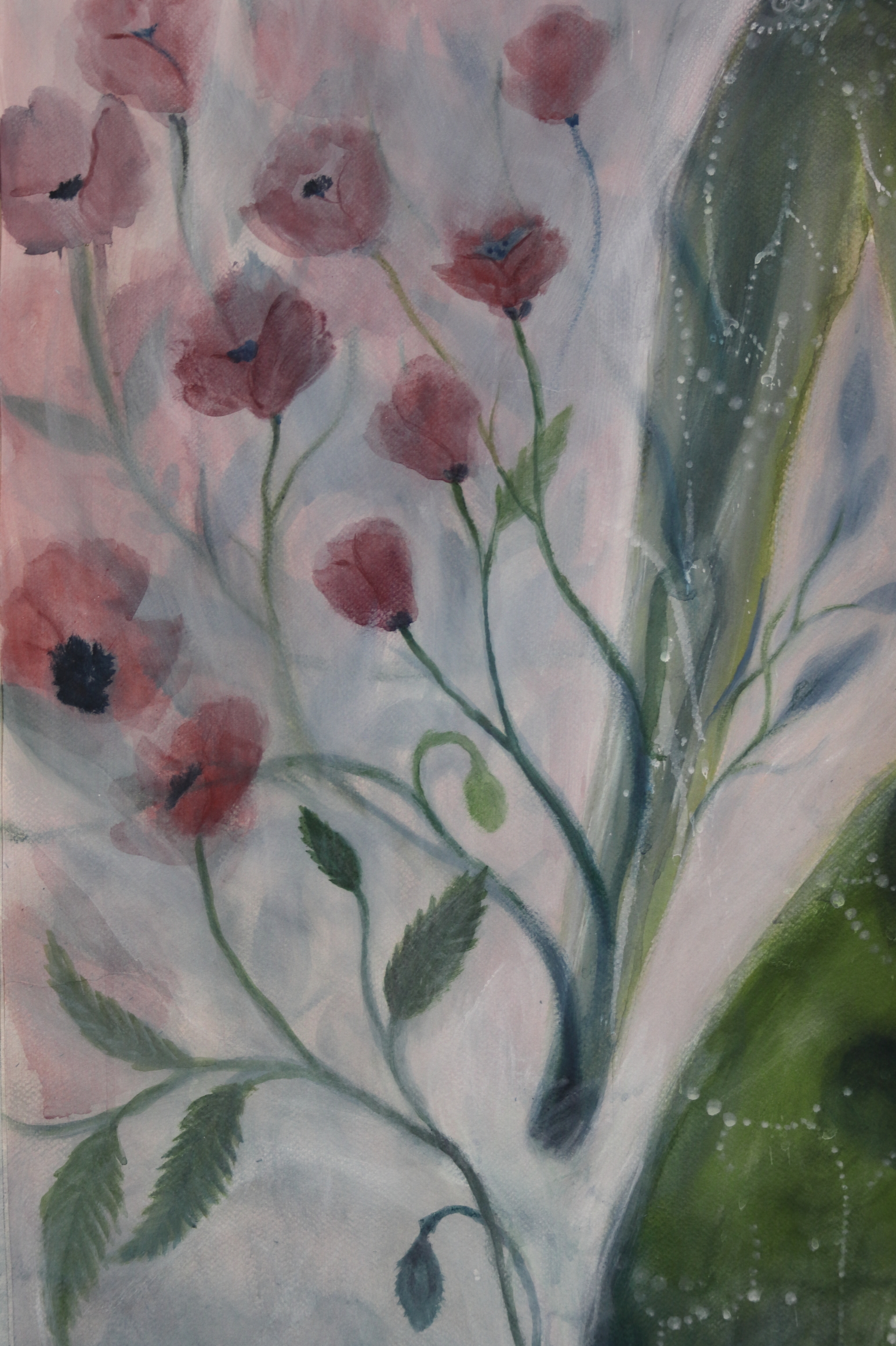 Medicina detail 05
